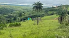 Foto 11 de Fazenda/Sítio com 1 Quarto à venda, 68m² em Zona Rural, Tapiraí