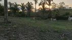 Foto 6 de Fazenda/Sítio com 2 Quartos à venda, 85m² em Zona Rural, Nova Xavantina