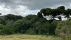 Foto 3 de Fazenda/Sítio à venda, 20000m² em , Urubici