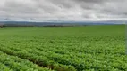 Foto 4 de Fazenda/Sítio à venda em Zona Rural, Alto Paraíso de Goiás