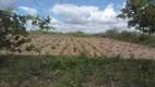 Foto 8 de Fazenda/Sítio à venda, 27000m² em Trairas, Macaíba