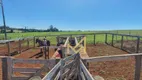 Foto 3 de Fazenda/Sítio com 2 Quartos à venda, 575m² em Rio do Salto, Cascavel