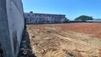 Foto 5 de Lote/Terreno para alugar, 5000m² em Barreiros, São José