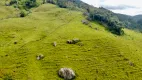 Foto 17 de Lote/Terreno à venda, 52000m² em Residencial Village Serrano, São Bento do Sapucaí