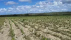 Foto 12 de Fazenda/Sítio com 3 Quartos à venda, 85000m² em Centro, Ielmo Marinho