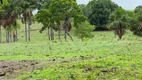 Foto 10 de Fazenda/Sítio à venda em Zona Rural, Crixás