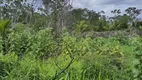 Foto 12 de Fazenda/Sítio à venda, 600000m² em , Rio do Fogo