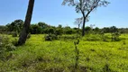 Foto 4 de Fazenda/Sítio com 3 Quartos à venda, 2613600m² em Nossa Senhora Aparecida, Uberlândia