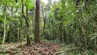 Foto 16 de Fazenda/Sítio com 5 Quartos à venda, 280m² em Borda do Campo, São José dos Pinhais