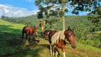 Foto 23 de Fazenda/Sítio com 2 Quartos à venda, 145200m² em São Francisco Xavier, São José dos Campos