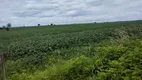 Foto 2 de Fazenda/Sítio com 7 Quartos à venda em Area Rural de Caldas Novas, Caldas Novas