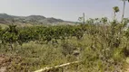 Foto 19 de Fazenda/Sítio com 2 Quartos à venda, 24000m² em Macuco, Valinhos