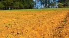 Foto 2 de Lote/Terreno à venda, 500m² em Lapa, São Paulo