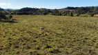 Foto 3 de Fazenda/Sítio com 2 Quartos à venda, 84000m² em Zona Rural, Jacutinga