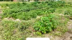 Foto 20 de Fazenda/Sítio com 3 Quartos à venda, 12000m² em Centro, Lagoa de Pedras