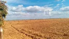 Foto 15 de Fazenda/Sítio à venda, 23560000m² em Zona Rural, Unaí