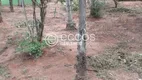 Foto 17 de Fazenda/Sítio com 4 Quartos à venda, 5000m² em Chácaras Eldorado, Uberlândia