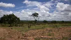 Foto 6 de Lote/Terreno à venda, 20000m² em Centro, Jequitibá