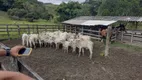 Foto 4 de Fazenda/Sítio com 3 Quartos à venda, 98m² em , Joaquim Gomes