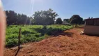 Foto 6 de Fazenda/Sítio com 3 Quartos à venda, 80000m² em Zona Rural, Terenos