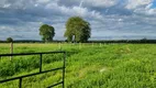 Foto 4 de Fazenda/Sítio com 7 Quartos à venda em , Araguapaz