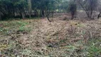 Foto 8 de Lote/Terreno à venda, 5000m² em Ferraria, Campo Largo