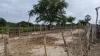 Foto 20 de Lote/Terreno com 1 Quarto para alugar, 6000m² em Padre Romualdo, Caucaia