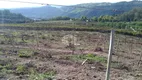 Foto 13 de Fazenda/Sítio com 2 Quartos à venda, 110000m² em Sao Valentin, Bento Gonçalves