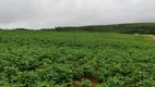 Foto 5 de Fazenda/Sítio com 1 Quarto à venda, 96600m² em Zona Rural, Pilar do Sul