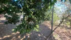 Foto 25 de Fazenda/Sítio com 2 Quartos à venda, 90m² em Sitio Portal Vila Rica, Caçapava