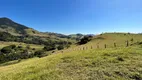 Foto 52 de Fazenda/Sítio com 3 Quartos à venda, 130000m² em Zona Rural, Paraisópolis