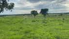 Foto 10 de Fazenda/Sítio à venda, 1510000m² em Zona Rural, Aparecida do Taboado