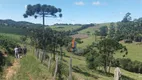 Foto 34 de Fazenda/Sítio à venda, 133100m² em Zona Rural, Ouro Fino