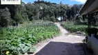 Foto 15 de Fazenda/Sítio com 3 Quartos à venda, 20000m² em Espigão das Antas, Mandirituba