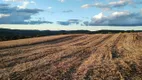 Foto 3 de Fazenda/Sítio com 4 Quartos à venda, 8832000m² em Centro, Porto União