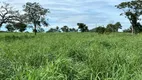 Foto 4 de Fazenda/Sítio à venda, 484000m² em Zona Rural, Itapirapuã