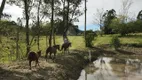 Foto 15 de Fazenda/Sítio com 2 Quartos à venda, 130000m² em Rio D Una, Imaruí