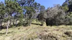 Foto 19 de Lote/Terreno à venda, 96000m² em Zona Rural, Marmelópolis