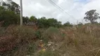 Foto 4 de Lote/Terreno à venda, 550m² em Capao do Leao, Capão do Leão