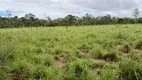 Foto 33 de Fazenda/Sítio com 2 Quartos à venda, 490000m² em Sao Gabriel de Goias, Planaltina