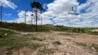 Foto 4 de Lote/Terreno à venda, 5900m² em Dona Catarina, Mairinque