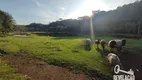 Foto 66 de Fazenda/Sítio com 7 Quartos à venda, 800m² em Borda do Campo, São José dos Pinhais