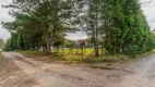 Foto 23 de Lote/Terreno à venda, 3750m² em Borda do Campo, Piraquara