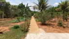 Foto 45 de Fazenda/Sítio à venda, 5000m² em Zona Rural, Aragoiânia