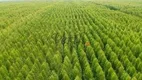 Foto 8 de Fazenda/Sítio com 10 Quartos à venda, 15763m² em Centro, São João do Paraíso