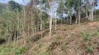 Foto 5 de Lote/Terreno à venda, 4377m² em Campo Limpo, Teresópolis