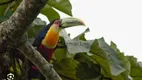 Foto 20 de Fazenda/Sítio com 4 Quartos à venda, 7000m² em , Paraty