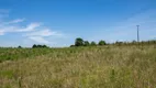 Foto 7 de Imóvel Comercial à venda, 21000m² em São Luiz do Purunã, Balsa Nova