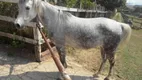 Foto 25 de Fazenda/Sítio à venda, 3000m² em Votorantim, Ibiúna