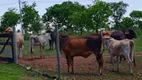 Foto 5 de Fazenda/Sítio com 3 Quartos à venda, 220m² em Area Rural de Varzea Grande, Várzea Grande